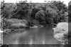 wyckoff dock  low tide .jpg (155971 bytes)