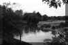 wyckoff dock high tide.jpg (114166 bytes)